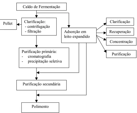 Figura 2.4. Comparação entre um processo de purificação convencional e o processo integrado de adsorção em leito expandido (Calado et alli.,2001)