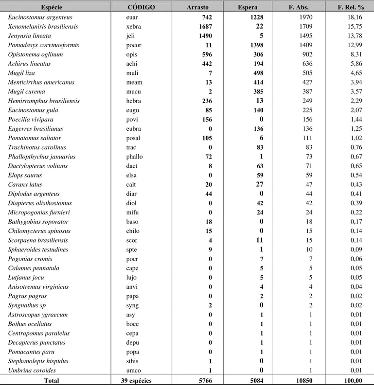 Tabela 2- Composição por espécie, código das espécies,  número de exemplares amostrados por arte de  Pesca  (Arrasto de Praia  e Redes de Espera) , freqüência absoluta  (F