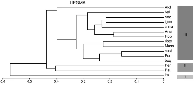 Figura 3- Dendrograma de Similaridade (Índice de Bray-Curtis) entre as estações de  coleta (distribuídas nas Áreas I, II e III), obtido  pela  freqüência relativa de  ocorrência  das  espécies de peixes capturadas na lagoa de Araruama ,  no  ano de 1994