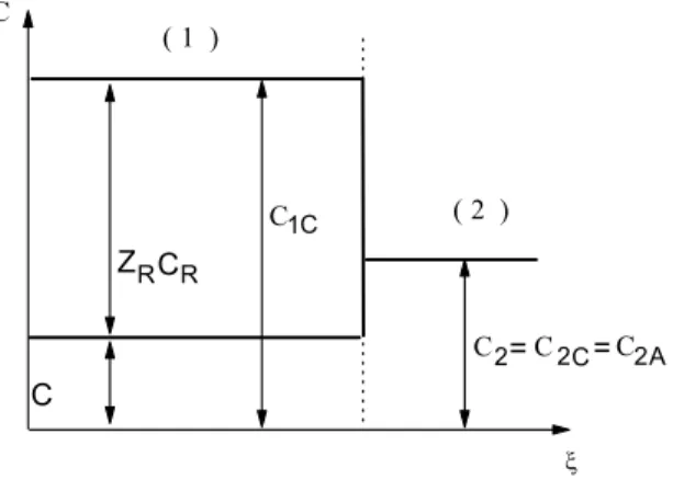 FIGURA 2.11 -  Distribuição de concentração com íons negativos ligados na fase 1  (trocador de cátion), fase (2) solução