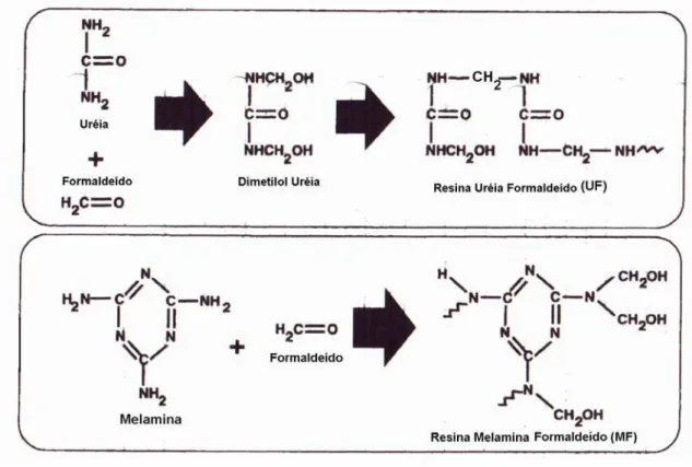 FIGURA 3.1 - Formação da resina amina pela reação do formaldeído com (a) uréia e  (b) melamina