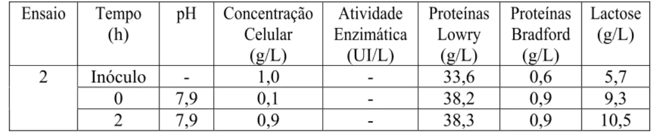 Tabela 4.22: Resultados obtidos na produção de PGA em biorreator utilizando criotubos   (2 o  ensaio)