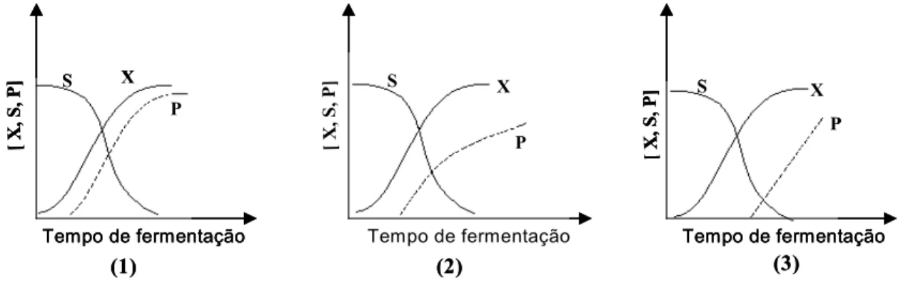 Figura 2.14: Perfis de concentração do microrganismo (X), do substrato (S) e do  produto (P) para os três tipos de formação do produto