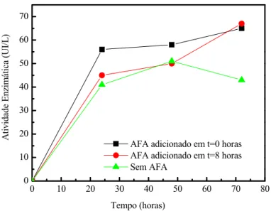 Figura 2.7. Influência do ácido fenil acético (AFA) na atividade enzimática em  cultivos de B