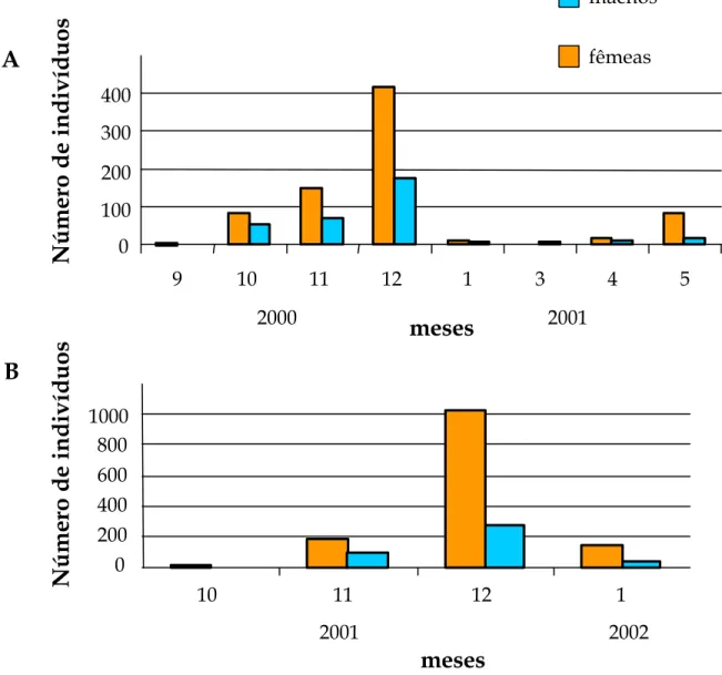 Figura 7: Emergência de machos e fêmeas de Digelasinus diversipes. Em (A)   emergência de indivíduos de agregados coletados em 2000, e em (B) emergência de  indivíduos de agregados coletados em 2001