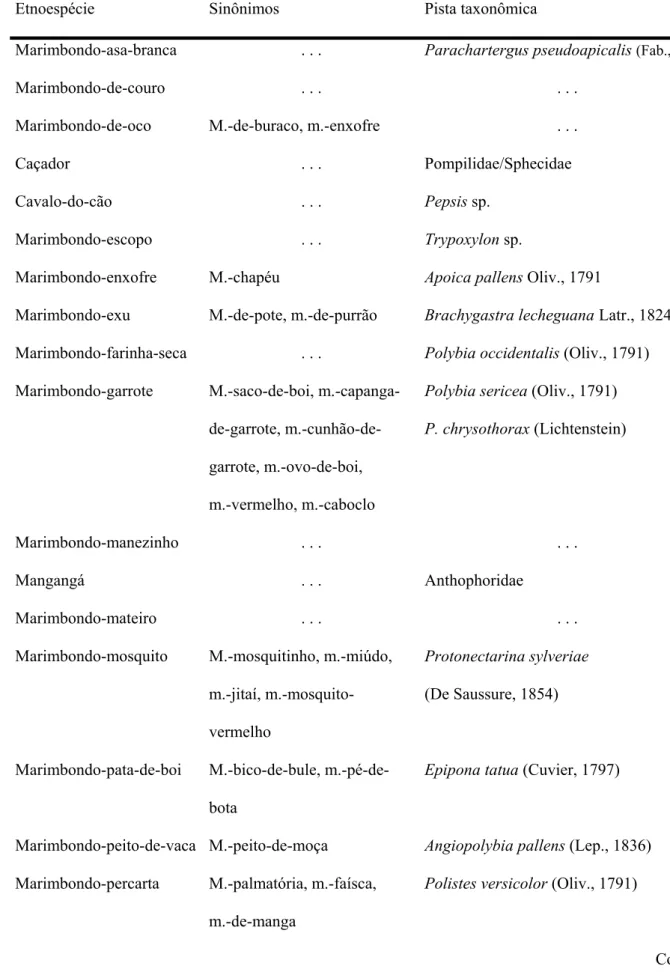 Tabela 7. Agrupamento e sinonímia das etnoespécies de marimbondos que ocorrem na região  da Serra da Jibóia