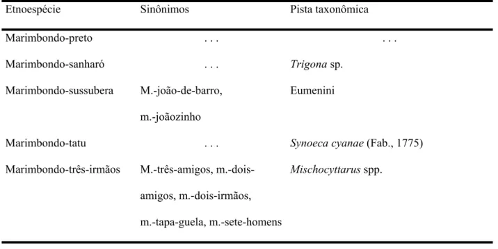 Tabela 8. Descrição de 27 etnoespécies de “marimbondos” (Hym., Vespidae), segundo os  moradores do povoado de Pedra Branca, Santa Terezinha, Bahia