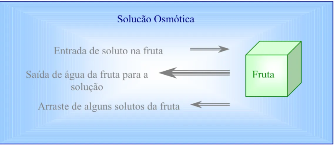 Figura 2.3: Principais fluxos de transferência de massa que ocorrem durante a desidratação osmótica.