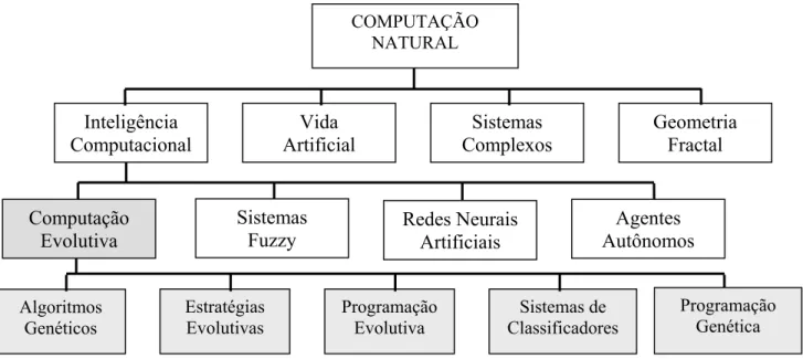 FIGURA 3.1 - Taxonomia dos Sistemas Naturais.