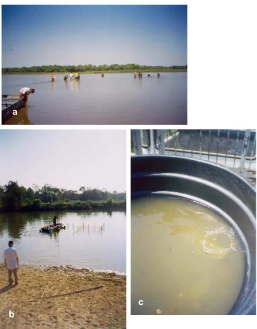 Figura 2: a) Lagoa onde foi realizada a coleta de 1999; b) Lagoa onde foi realizada a coleta de 2000 e que recebe os peixes provenientes da primeira lagoa; c) Tanque utilizado para o transporte de peixes