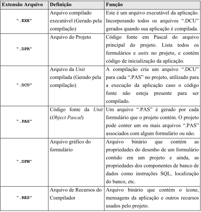 Tabela 2 - Arquivos de uma aplicação e seu significado (Adaptado de (Cantú, 2001)) 