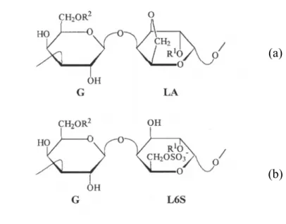 Figura 2.1: Esquema das estruturas do ágar (A) e precursor do ágar (B) com as  posições comuns das substituições do metil ésters (FALSHAW et al.,  1998)