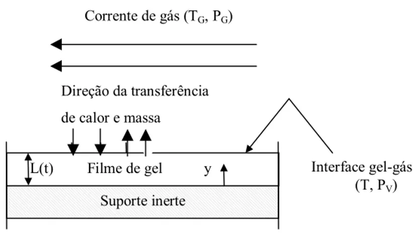 Figura 2.3: Esquema para um processo de secagem de gel (SHAH &amp; PORTER,  1973). 