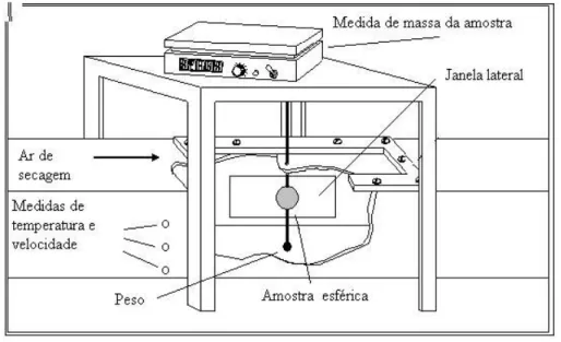 Figura 3.5: Esquema para a secagem das amostras pelo método contínuo. 