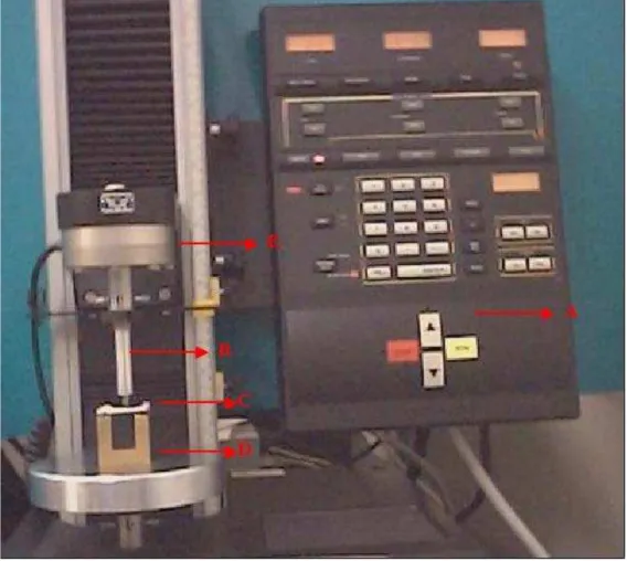 FIGURA 1. Foto da máquina de ensaio universal Instron (modelo 4444) demonstrando um teste de flexão a três pontos em um fêmur de rato