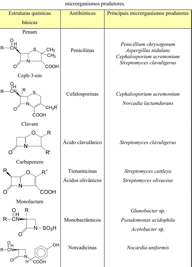 Tabela 2.1: Estrutura básica dos grupos de antibióticos beta-lacâmicos e seus principais  microrganismos produtores
