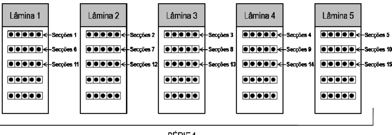 Figura 14: Distribuição sequencial das secções pelas lâminas. 