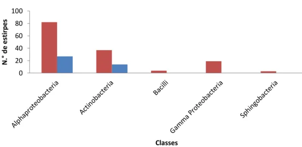 Figura 3.3 – Identificação das Classes de bactérias presentes nas amostras recolhidas dos dois  hospitais