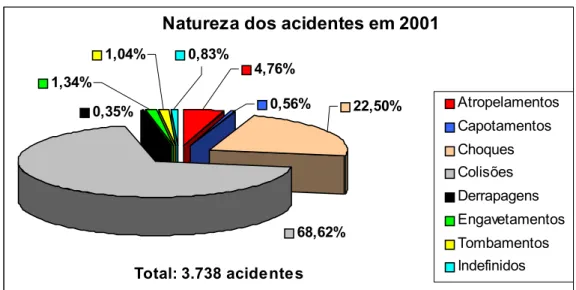 Figura 14: Acidentes de acordo com sua natureza ocorridos em 2001