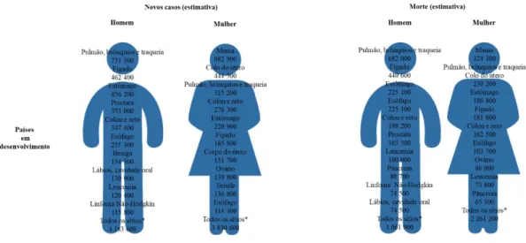 Figura  1.  1:  Estimativa  de  novos  casos  e morte  por  sexo  em  países em  desenvolvimento