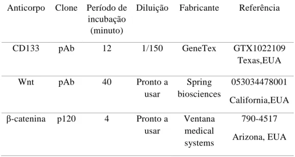 Tabela 2. 3: Anticorpos primários e condições utilizadas no protocolo.