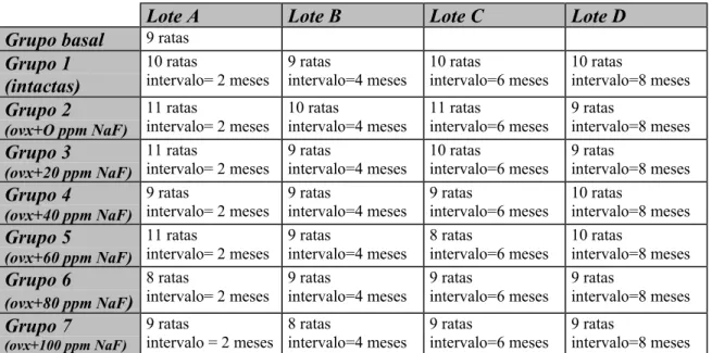 TABELA 1 – Grupos e lotes experimentais de acordo com o tratamento e o período em que os animais foram sacrificados.