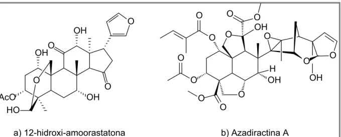 FIGURA 2.1 – Exemplos de limonóides presentes em M. azedarach. a) com todos os anéis  intactos, b) com anel C-seco (TAYLOR, 1984)