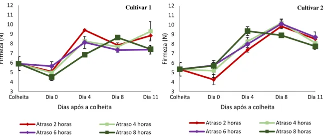 Figura 13 – Evolução da firmeza (N) da cultivar 1 e da cultivar 2 de morango registada ao longo do tempo de  armazenamento nos quatro tempos de atraso do arrefecimento (2 horas, 4 horas, 6 horas e 8 horas)