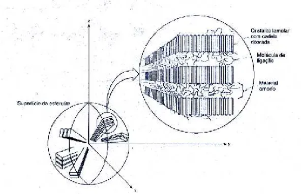 Figura 2.2 – Representação esquemática da estrutura detalhada de um  esferulito [5] 