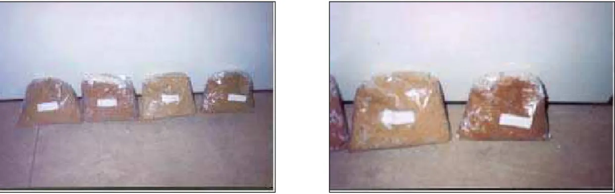 Figura 30. Argilas que integram a mistura da massa para produção da telha cerâmica  (CCB, 2003)