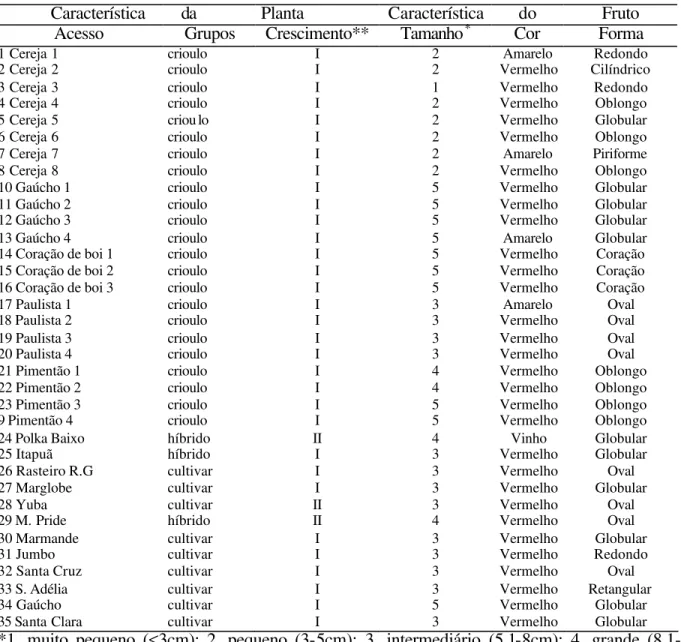 Tabela 1. Os 35 acessos de tomates agrupados através de algumas características morfológicas  dos frutos