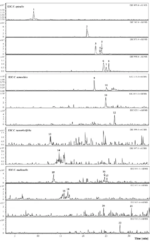 Figure 1. Extracted Ion Chromatogram (EIC) of purified phlorotannin extracts of F. spiralis,  C