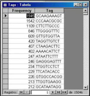 Figura 8: Parte da tabela de contagem de “tags” de não portadores da SD  gerada pelo “software” e-SAGE