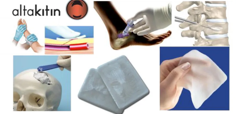 Figure 7 - Examples of Altakitin products available for biomedical applications. Source:  