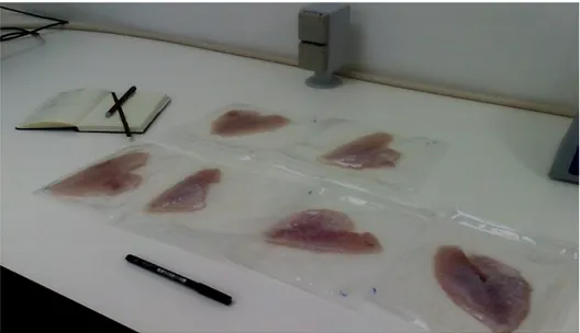 Figura 5. Aspecto dos filetes de peixe-porco embalados (Fonte: arquivo pessoal) 