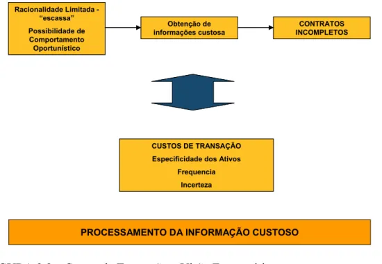 FIGURA 2.8 – Custos de Transação – Visão Esquemática. 