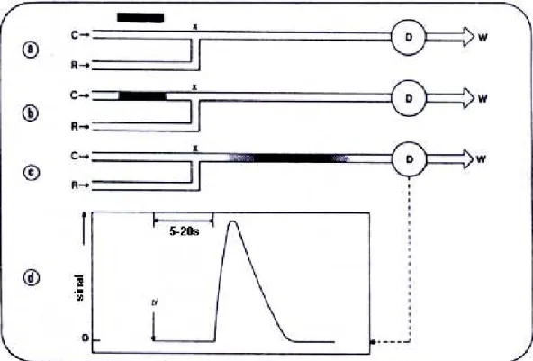 Figura 2.1 - Representação de um sistema FIA. Após ser selecionado um volume de  solução da amostra (a), o mesmos é introduzido em uma solução transportadora de  amostras C (b)