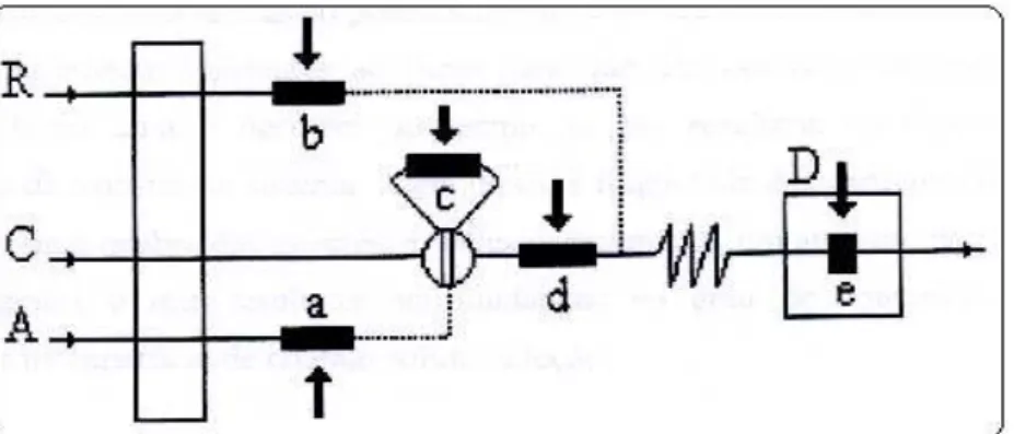 Figura 2.6: Possíveis localizações de um reator em fase sólida acoplado a um  sistema FIA