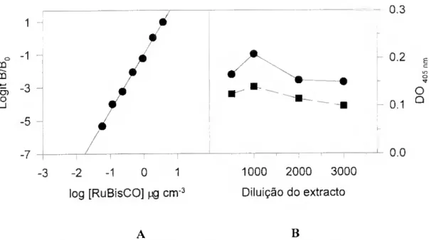 Fig. 3.2 Aplicação de ELISA directo na quantificação de RuBisCO, com a utilização de anticorpos  policlonais