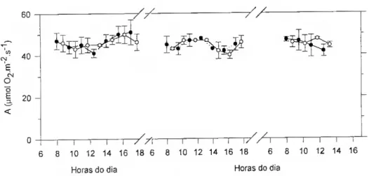 FIGURA 4.12 - Capacidade fotossintética medida, ao longo do dia, em discos foliares de plantas  regadas (o) e de plantas submetidas a stress hídrico (•) e no dia seguinte apossa rehidratação destas  últimas (RH), de L albus