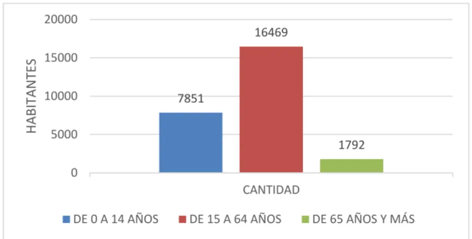 Figura 17. Distribución poblacional por grandes grupos de edades en Bahía de Caráquez (INEC,  2010) 