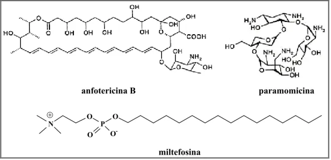 FIGURA 1.8. Estruturas químicas da anfotericina B, da paramomicina e da  miltefosina. 