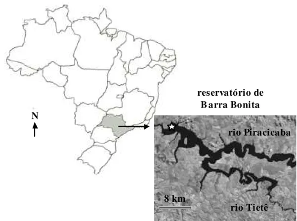 Figura 1 – Localização e imagem do reservatório de Barra Bonita indicando ponto de  coleta próximo à barragem ( ! )