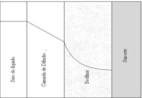 Figura 3.5: Perfil de concentração de substrato: transferência de massa externa e  interna.(PATRY &amp; CHAPMAN, 1989) 