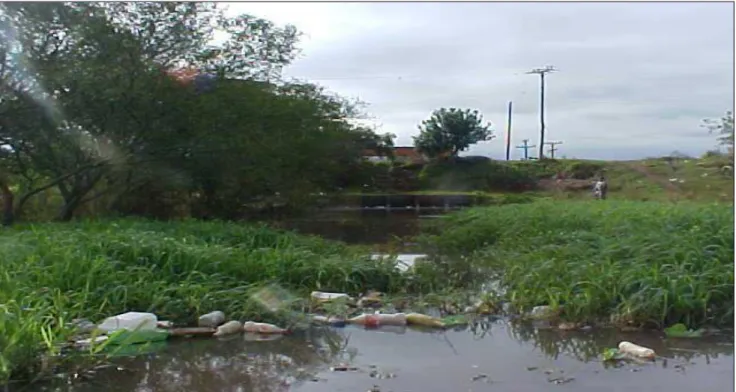 Figura 12:  Despejos de águas residuárias domésticas lançadas “in natura” do rio Gravataí, RS, proviente  das vilas localizadas nas proximidades da foz do rio