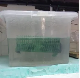 Figure 5: photo of one of the tanks for  the experiment