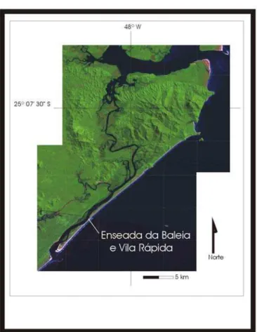 Figura 4: Imagem de satélite da Ilha do Cardoso e entorno, destacando-se os vilarejos  Enseada da Baleia e Vila Rápida