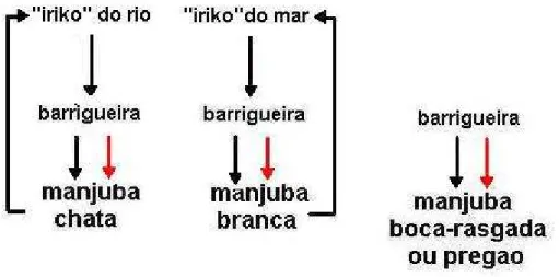 Figura 9: Sistemas seqüencial (vermelho) e cíclico (preto) utilizados pelos pescadores  de manjuba das comunidades Enseada da Baleia e Vila Rápida