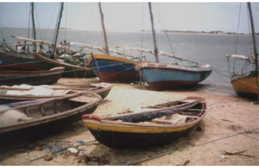 Figura  10  –  Canoa  utilizada  em  pescarias  artesanais  na  costa  do  Município  de  Camocim/CE