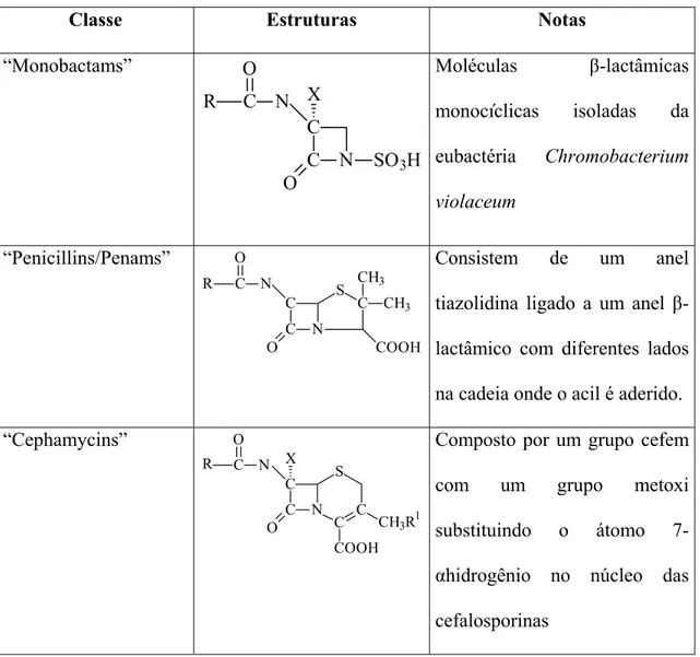 Tabela 2.1: Estruturas generalizadas de algumas classes de antibióticos β- β-lactâmicos (Essack et al., 2001) 